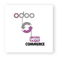 odoo_woocommerce_connector.png